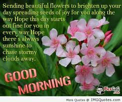 Sending Beautiful Flowers To Brighten Up Your Day Spreading Seeds Of ...