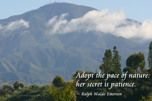 Waldo Emerson Quotes Nature