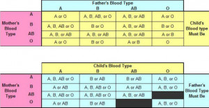 Blood Type Chart - Mother, Father, Child, paternity determination