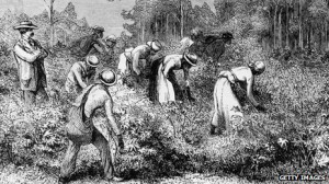 The cotton workers' response was to organise a campaign of public ...