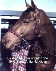 Seabiscuit More