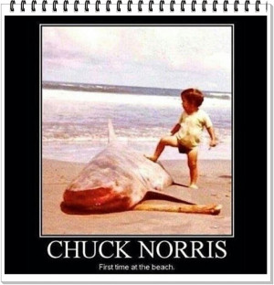 Funny Instagram Captions For Selfies Funny caption ideas