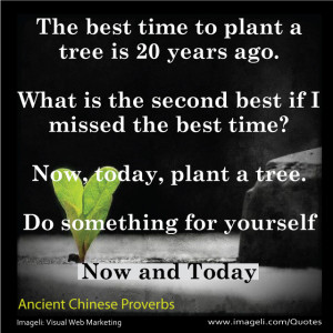 This old Chinese proverb sounds simple and yet, in another level, is ...