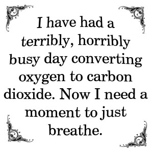 have had a terribly, horribly busy day converting oxygen to carbon ...
