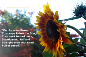 Be like a Sunflower!