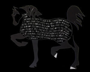 Arabian Horses Sale Florida