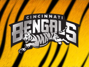 Cincinnati Bengals Image