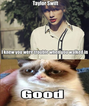 Grumpy Cat Meme Taylor Swift Grumpy cat/taylor swift