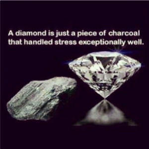 Stress Should Build You, Not Break You