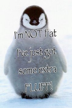 Penguin Quotes! Adorbs