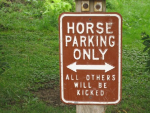 funny, post, sign, parking, horse