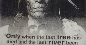 Funny Wisdom Quotes | … Only When The Last Tree Has Died – Native ...