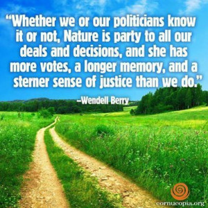 Wendell Berry's quote on Sustainability and Nature truth