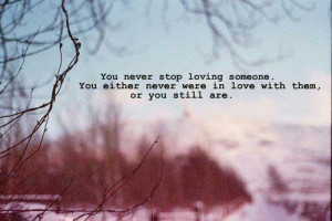 You never stop loving someone, You either never were in love with them ...