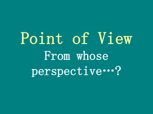... person point of view which is the least commonly used point of view