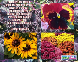 Fall or Autumn Garden Quotes