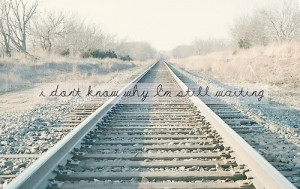 quote, quotes, road, train, true, typography, words