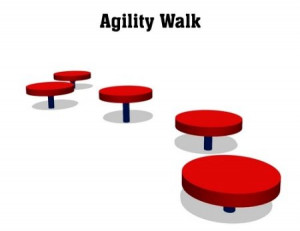 View Product Details: dog agility equipment:Agility Walk