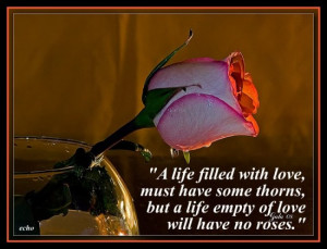 ... thorns but a life empty of love will have no Roses” ~ Flowers Quote