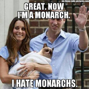Funny Grumpy Cat Royal Baby Monarch Meme - Great, now I'm a monarch. I ...