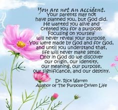 You are not an accident....~ Dr Rick Warren More