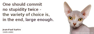 Ignorance Quote: One should commit no stupidity twice - the variety of ...