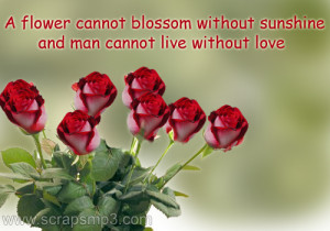 Flowers Scraps, flowers quotes, Beautiful rose flower, flowers orkut ...