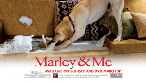Marley-and-Me-marley-and-me-5315811-1024-576.jpg