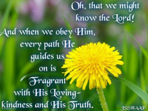 Pinned by Tammy Houser