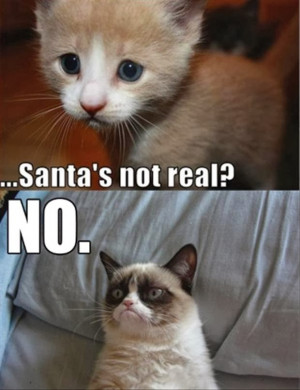 This Christmas Grumpy Cat And Friends Wish You ....well you know