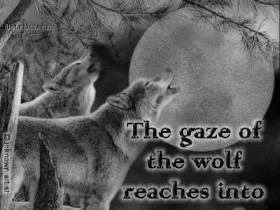 Wolf Sayings wolf quotes photo: WOLF QUOTES nat0603_zpsf51f11ee.gif