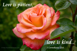Love is patient, love is kind… – 1 Corinthians 13:4