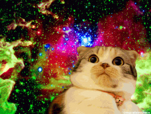 ... cats, quote, cat, meow, space, galaxy, cats in space, funny cats, cat