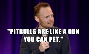 10 hilarious Bill Burr quotes you need to know