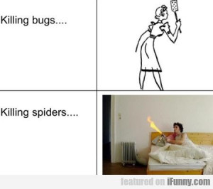 Killing Bugs.. Killing Spiders..