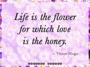 50 Short Love Quotes