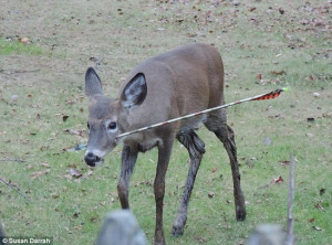Blowgun Hunting Deer