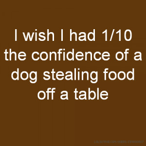 wish I had 1/10 the confidence of a dog stealing food off a table