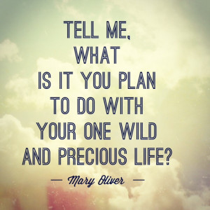 ... this post that begins with the famous quote from poet Mary Oliver