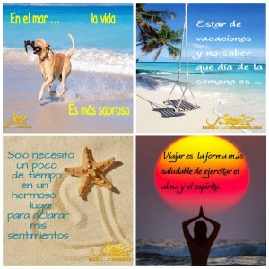 Cancun Best Discounts en Español