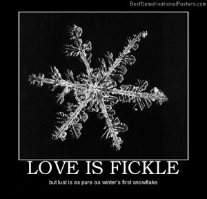 love-is-fickle-pure-lust-best-demotivational-posters