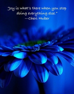 Joy is what's there when you stop doing everything else.