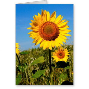 Sunflower Mother's Day Bible Quote Christian Greeting Card
