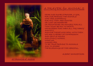 ... › Portfolio › '' A PRAYER FOR ANIMALS '' by Albert Schweitzer