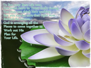 To live your best life now, you must learn to trust God's timing, you ...