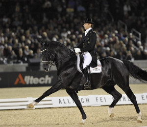 rider and his horse perform in the Dressage competition © FEI Kit ...