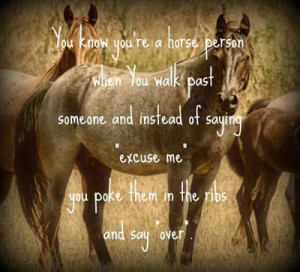 Horse quotes