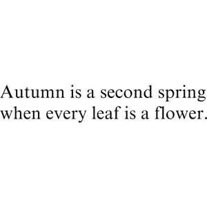 : [url=http://www.imagesbuddy.com/autumn-is-a-second-spring-quote ...