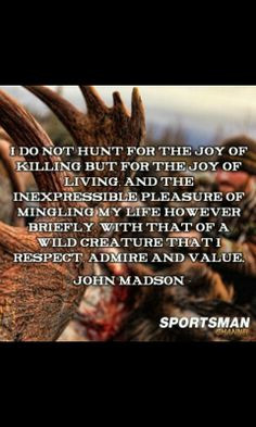 ... Quotes, Respect Nature, Elk Hunting Quotes, Well Said, Quotes Hunting
