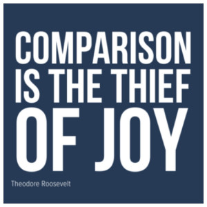 Comparison Quote Theodore Roosevelt